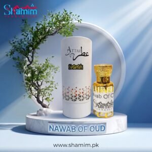 nawab-of-oud-by