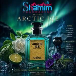 ARCTIC ICE